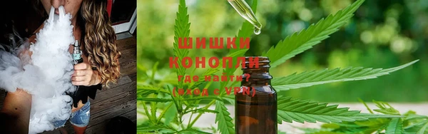 PSILOCYBIN Нефтегорск