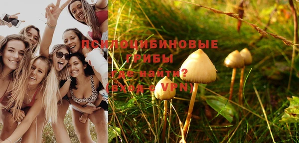 соль ск Нефтекумск