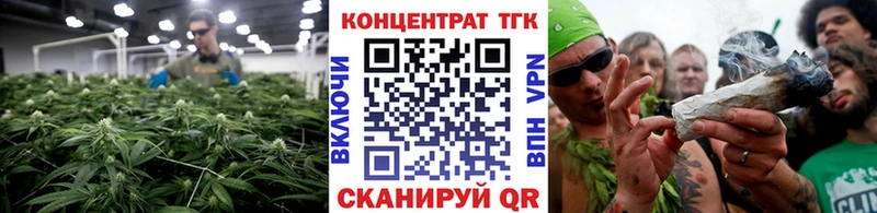 маркетплейс состав  наркотики  Новозыбков  Дистиллят ТГК THC oil 